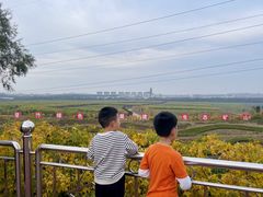 -抚顺煤矿博物馆