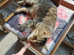 -法华学问寺-停车场