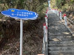 -江西阳明山国家森林公园