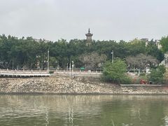 -合江楼