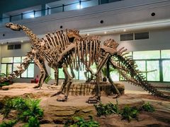 -自贡恐龙博物馆