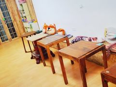-猫色咖啡·猫咖