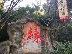 -杭州黄龙洞