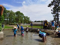 -洪湖家庭农场·团建·露营·会议