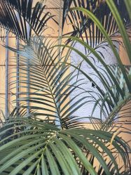 -兴亚瑜伽20年老馆