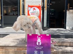 -小意思咖啡店(草桥店)