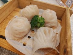 -龙的酒楼·手工早茶·顺德菜(近良路店)