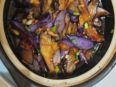 -全乐鱼馆·淳牌有机鱼直营店