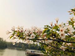 -新江湾城公园