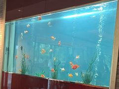 -阳澄湖费尔蒙酒店颐丰阁中餐厅(马鞍山西路店)