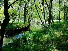 -十九峰景区-倒脱靴