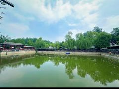 -尚庄度假村·庭台树下·户外烧烤·团建CS·轰趴营地(上庄水库店)