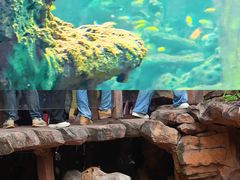 -长鹿旅游休博园