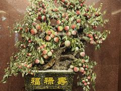 -大连富丽华大酒店