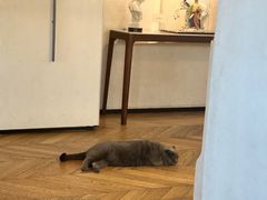 -Me Coffee下午茶艺术空间