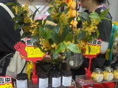 -苏州市吴中区光福窑上花果蜜饯厂