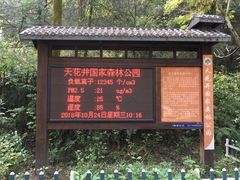 -天花井景区