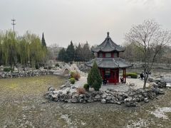 -莲池书院博物馆