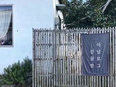 -柑橘农场