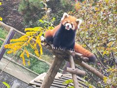 -沈阳森林动物园