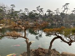 -罗红摄影艺术馆