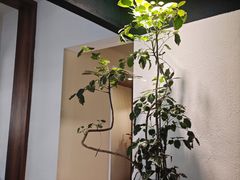 -The Good Place好地方·Brunch·coffee(国贸店)