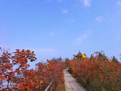 -震九州熟食(凯旋路店)