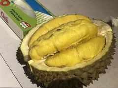 -都念榴莲·城市榴莲