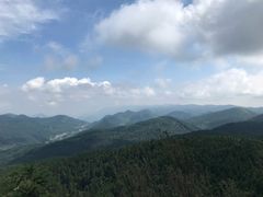 -武陵山森林公园