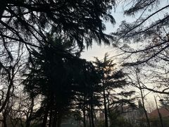 -八大关景区