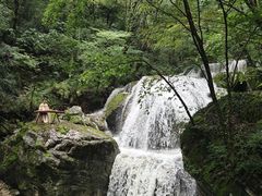 -牛背梁国家森林公园