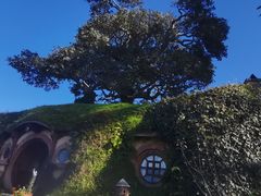-霍比特人村