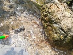 -沕沕水生态风景区