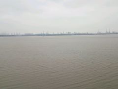 -大湾区中央湿地公园
