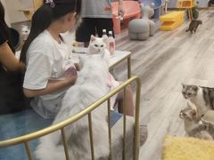 -BABIT巴比特宠物(MOMOPARK店)