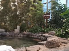 -中家鑫园温泉酒店鑫悦汤泉