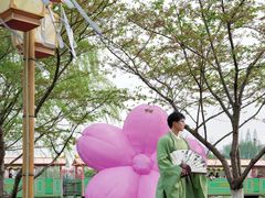 -长田漾湿地公园