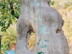 -板樟山森林公园