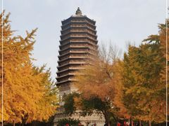 -玲珑塔公园