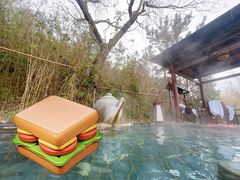 -徂徕山森林康养度假谷温泉