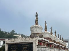 -塔尔寺游客服务中心