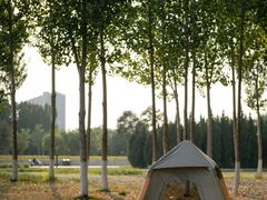 -汉长安城未央宫国家考古遗址公园