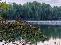 -陶然亭公园