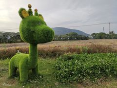 -苏州太湖西山岛开心农场