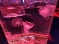 -石林冰雪海洋世界