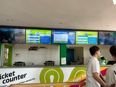 -圣淘沙天际线斜坡滑车