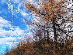 -沣峪口