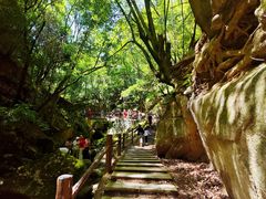 -苍龙峡风景区