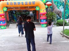 -上海大自然野生昆虫馆(东方明珠·爬宠昆虫探索中心)
