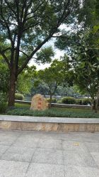 -小鲤鱼寻宝记·AR亲子户外剧本闯关(广州东山湖公园店)